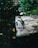 A penguin stands on a rock surrounded by greenery, near a body of water with floating leaves.