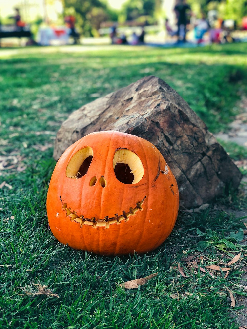 calabaza al lado de la piedra sobre hierba verde