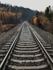 railway between tall trees