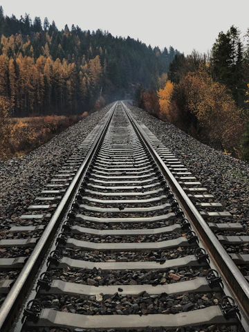 railway between tall trees
