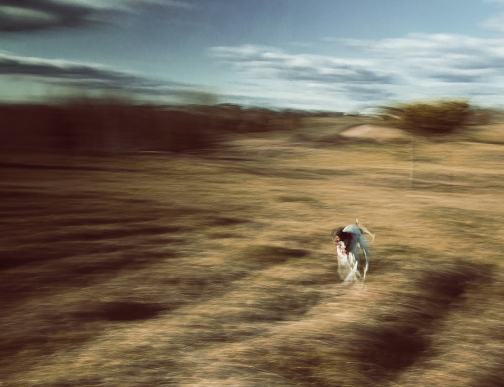 a blurry photo of a person walking in a field