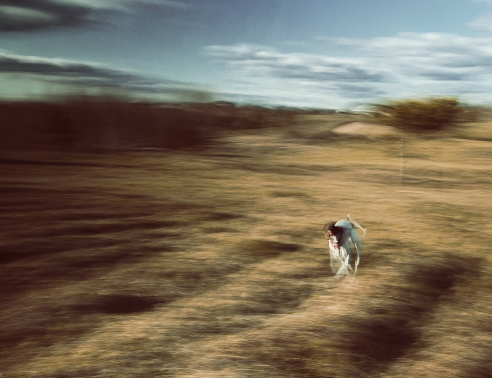 Una foto sfocata di una persona che cammina in un campo