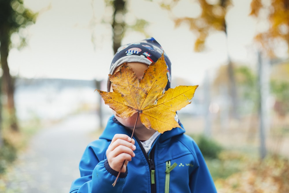 person holding brown leaf