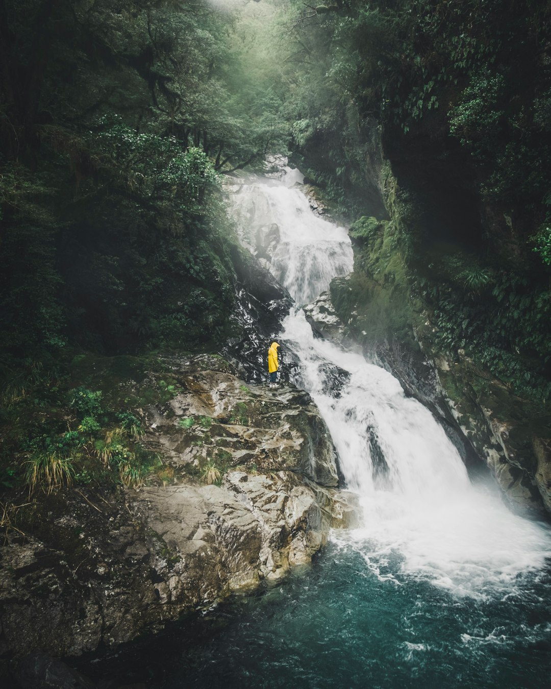 travelers stories about Canyoning in Fiordland National Park, New Zealand