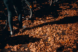 Nowa impreza: Rowerem na powitanie jesieni