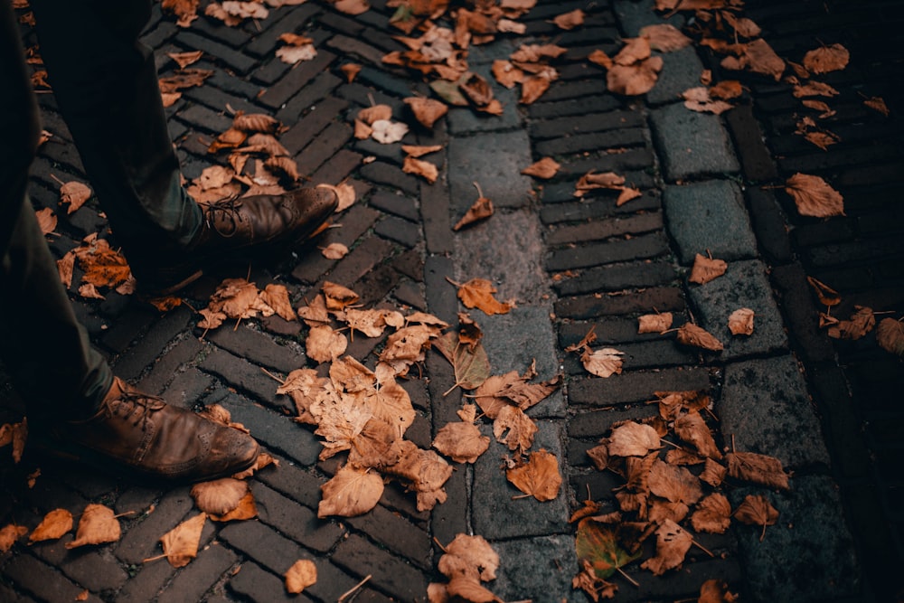 brown leaves