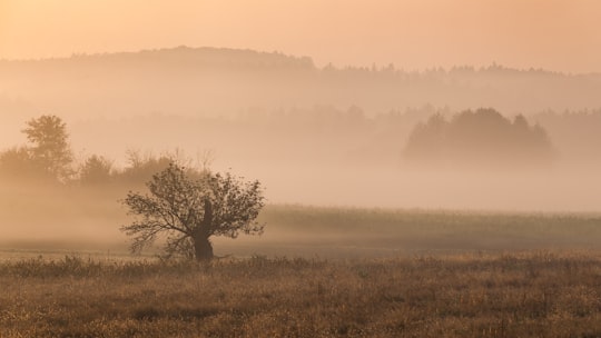 photo of Hartberg Umgebung Plain near Kunsthaus Graz