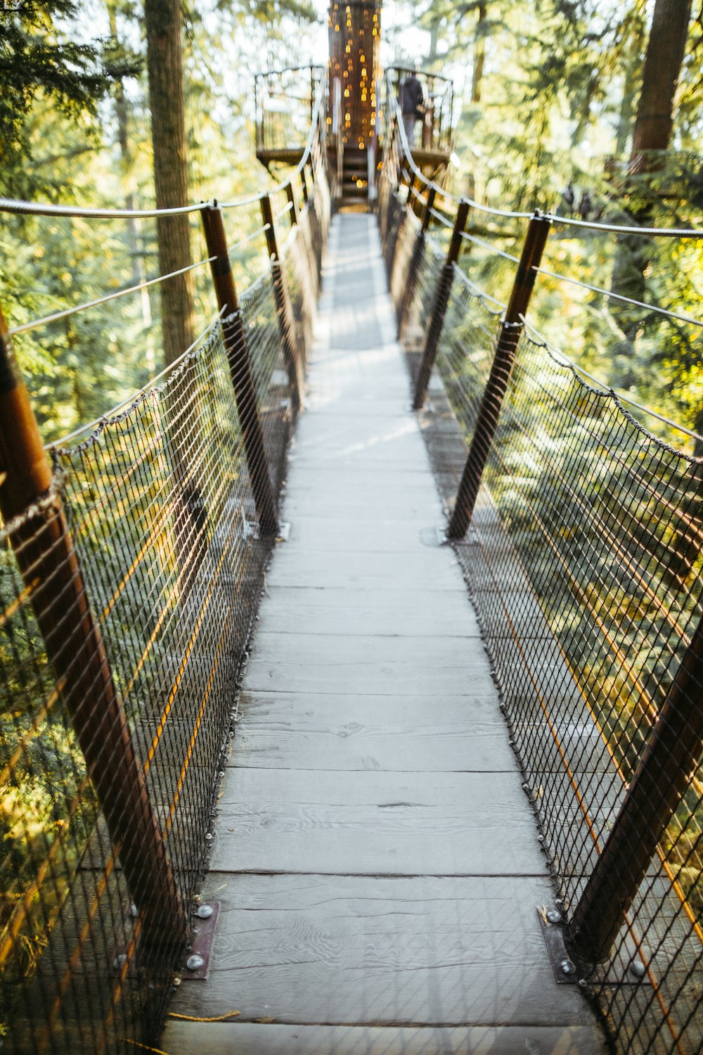 ponte perto de árvores