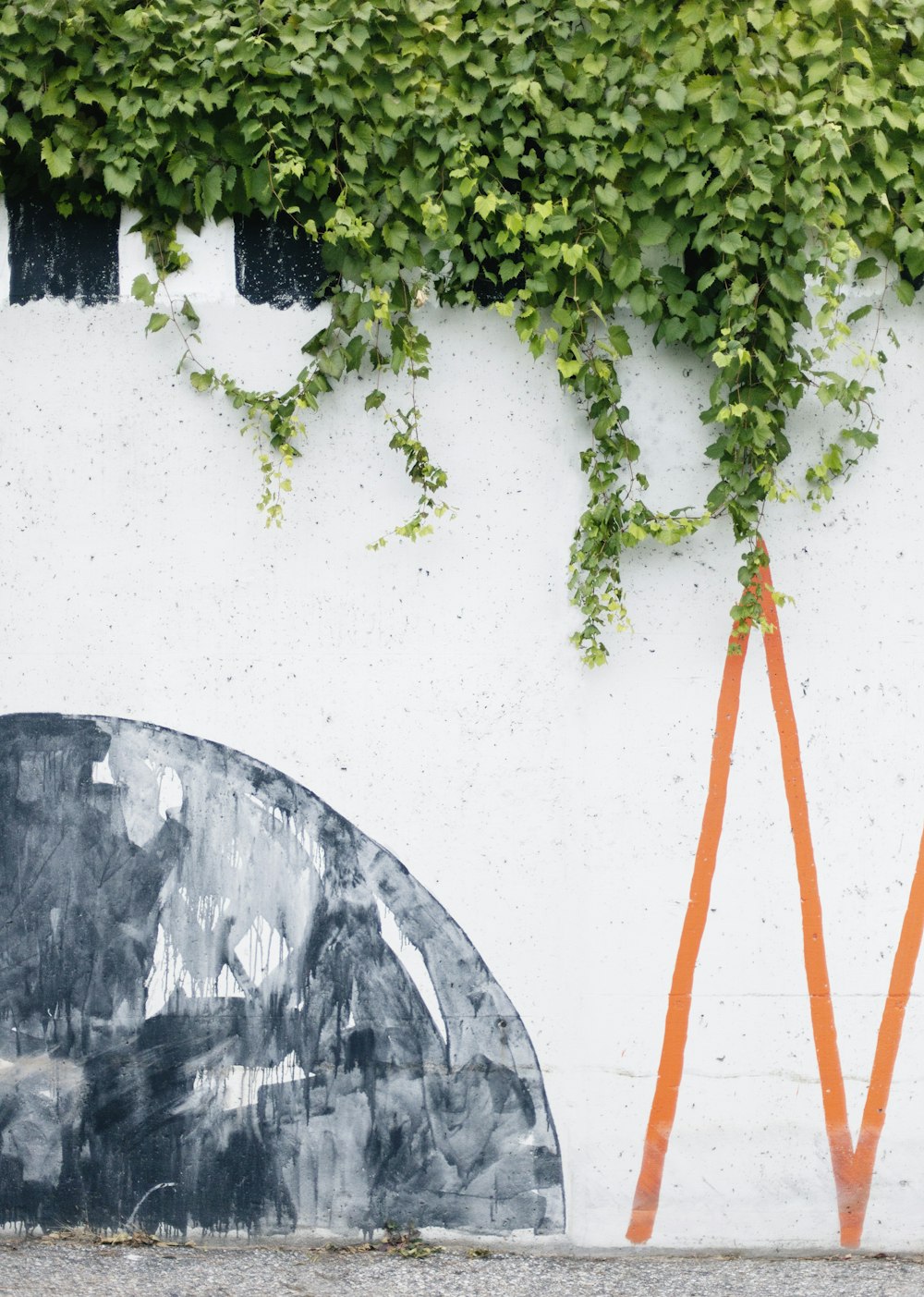 green vines on wall