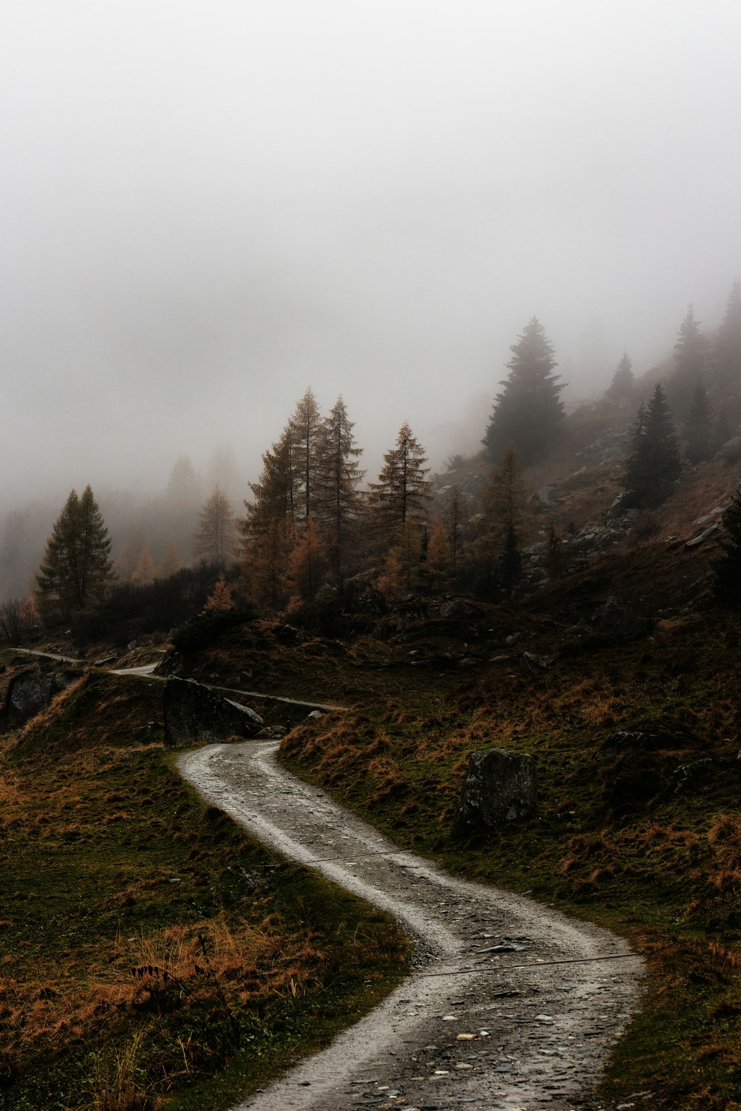 Forest photo spot Rieserferner-Ahrn Nature Park Bolzano