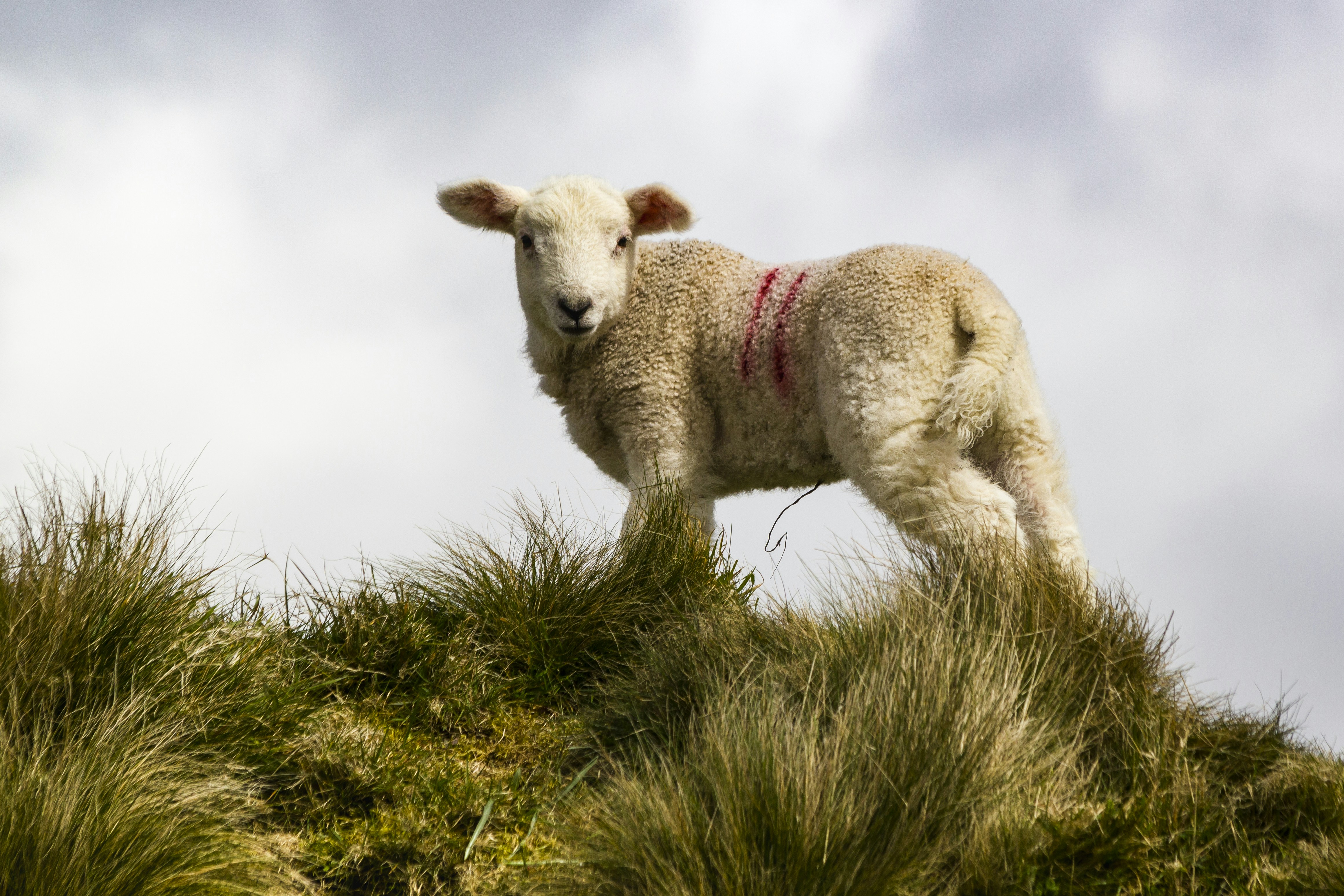 Photo by jon_kirby_uk