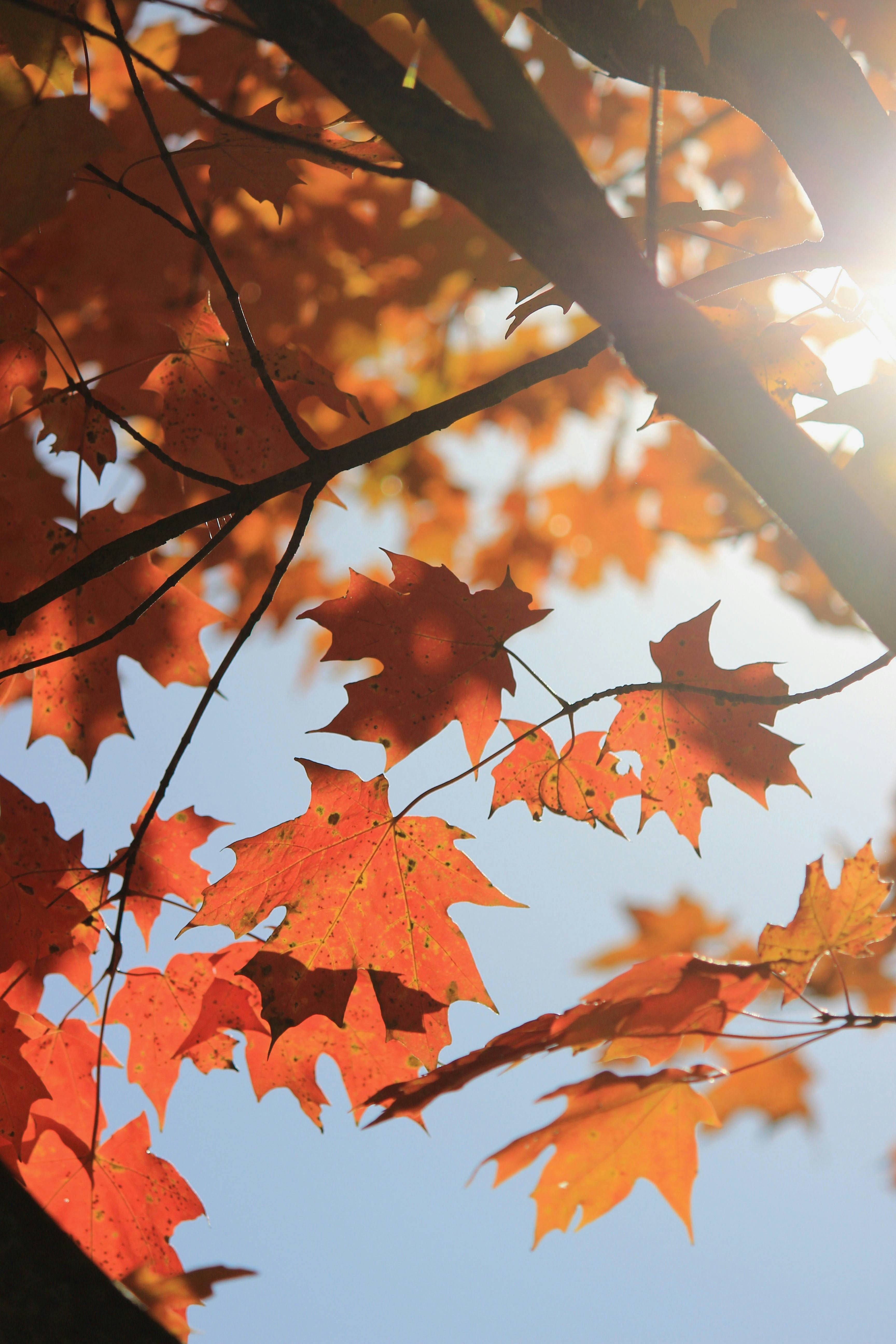 Photo by jessicalfadel