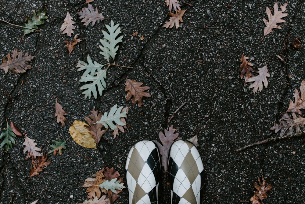 leaves on floor