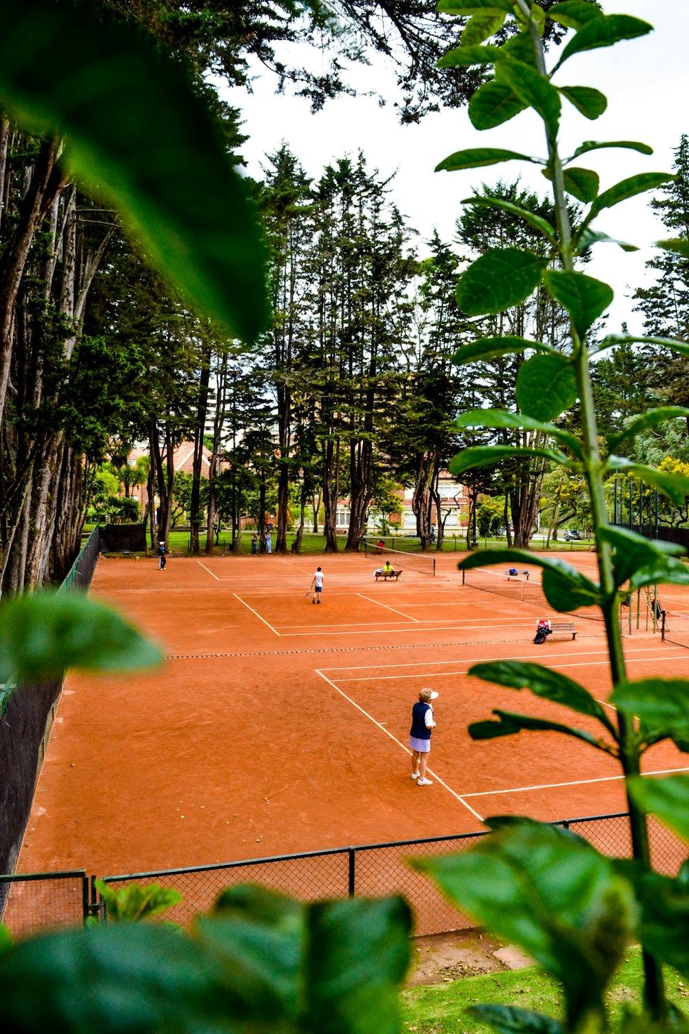 group of people on court