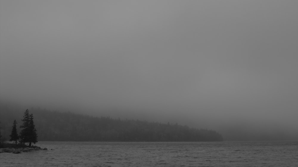 mountain covered with mist