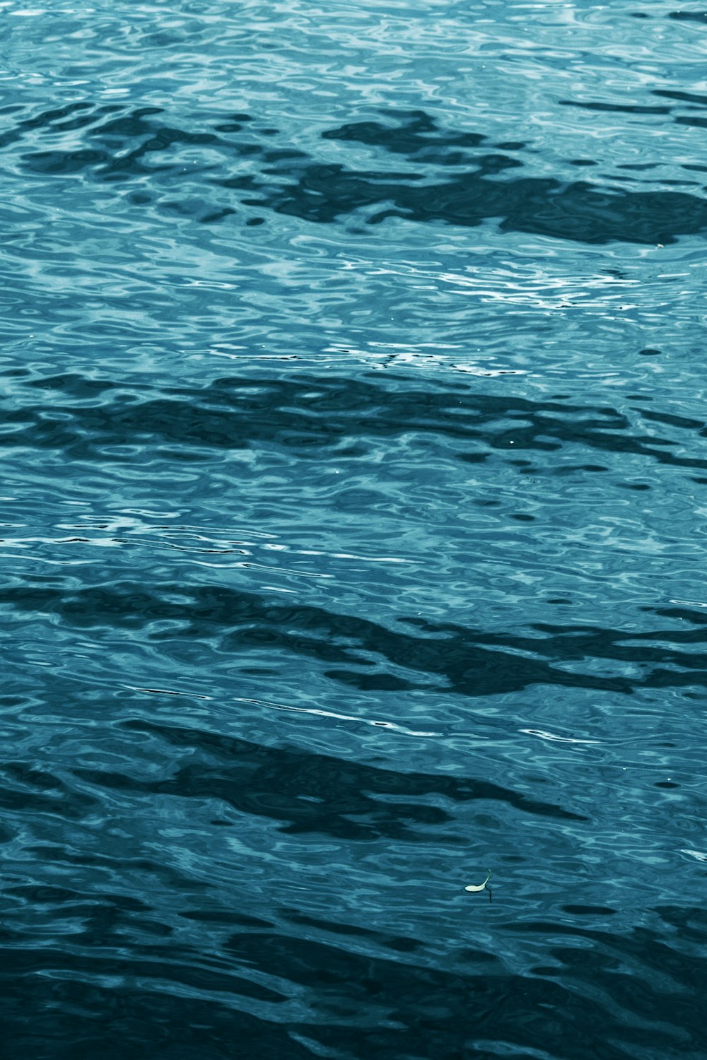 closeup photo of body of water