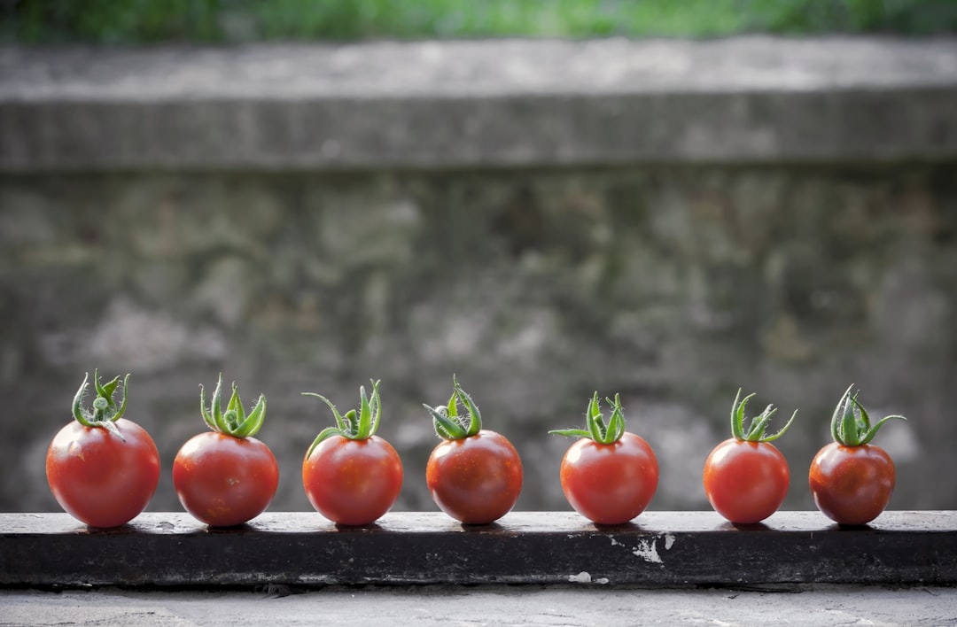 red tomatoes on black surface