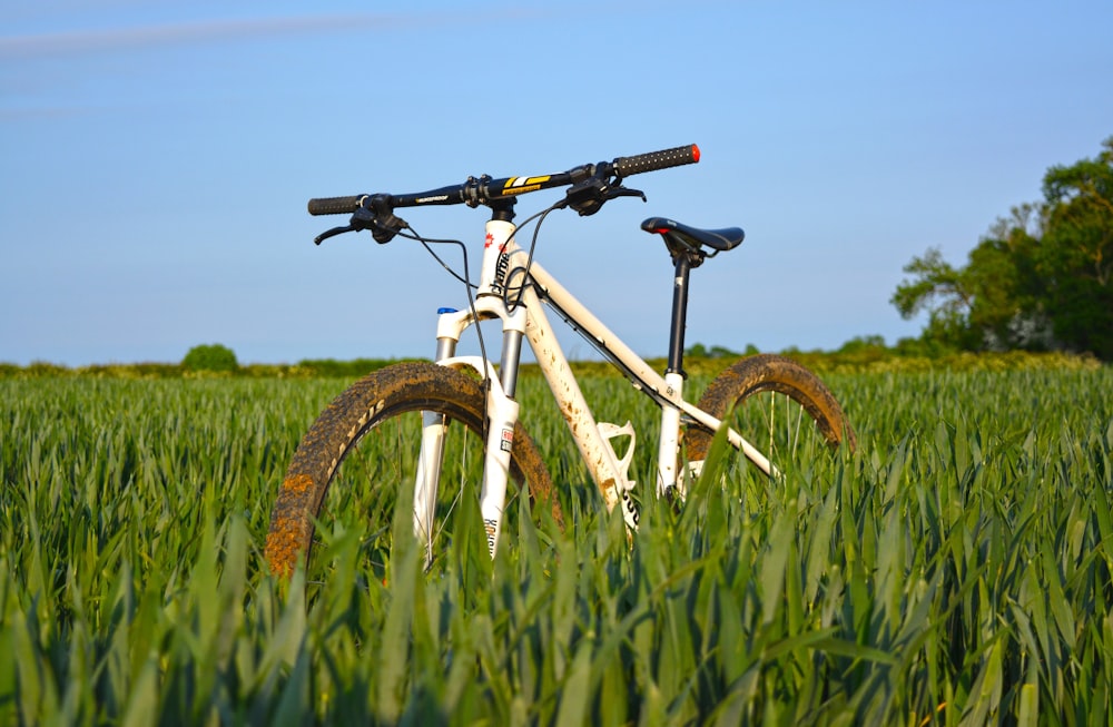 white and gray hardtail bike parked in green grass