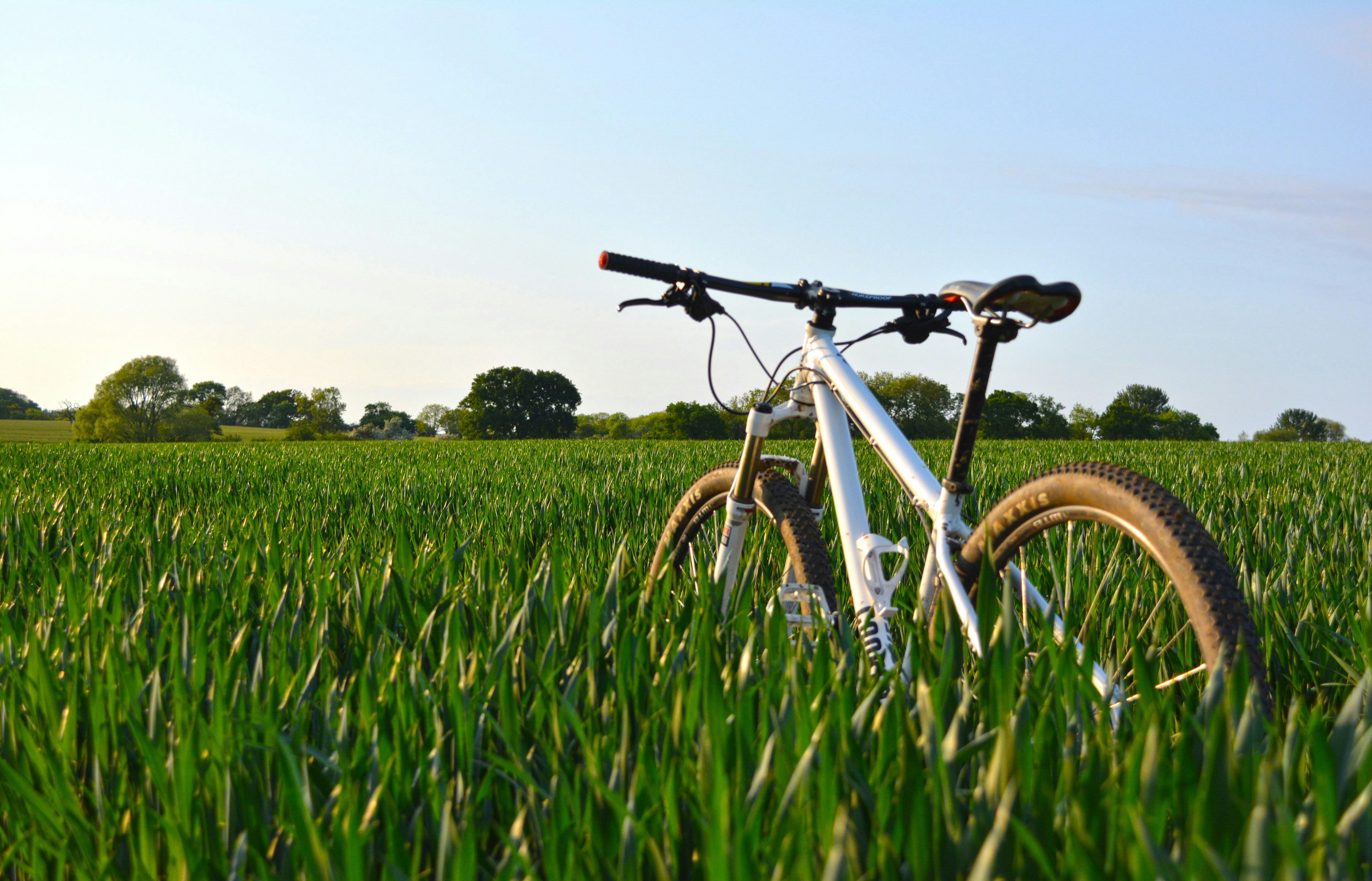 white and black downhill bike parked on green grass field during daytime