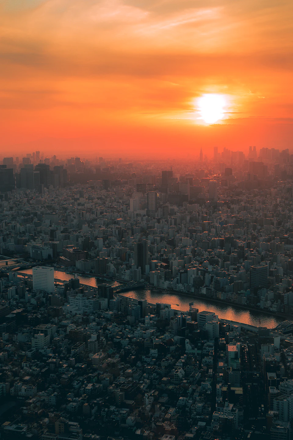 Cityscape at sunset with warm glow and vibrant orange-yellow sky behind modern skyscrapers