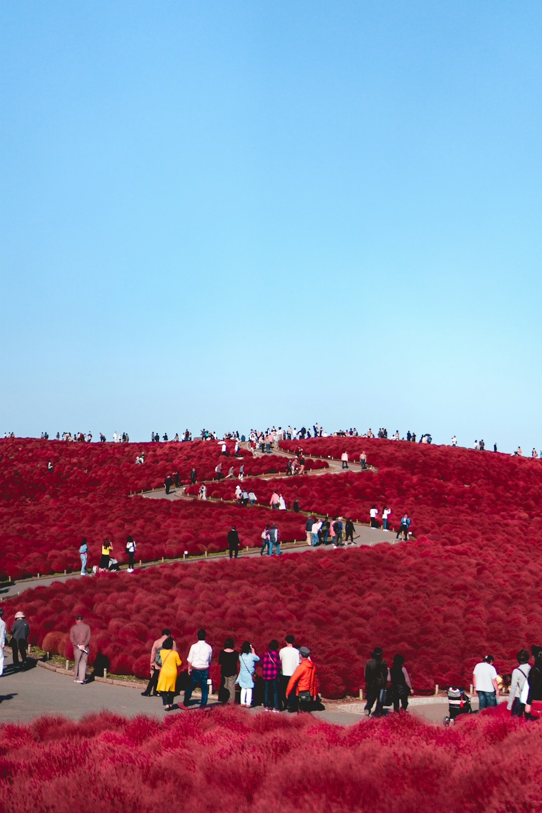 travelers stories about Plain in Hitachinaka, Japan