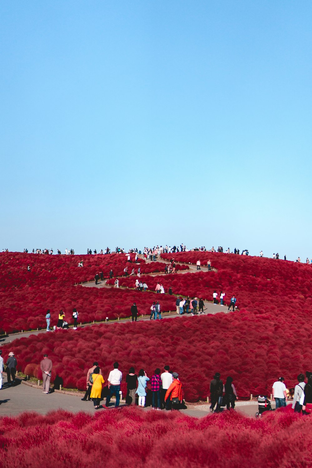 people at red park