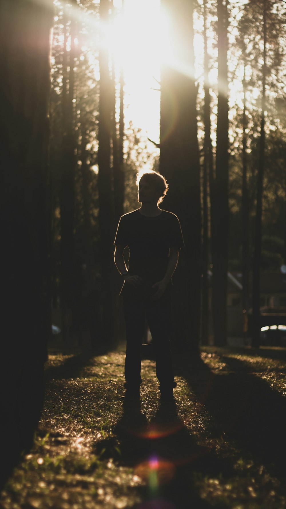 man standing under trees during daytime