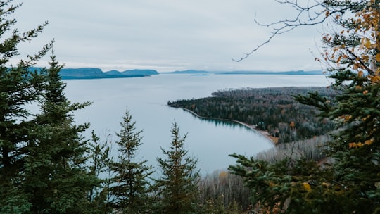 green leafed trees near body of water in Pays Plat Canada