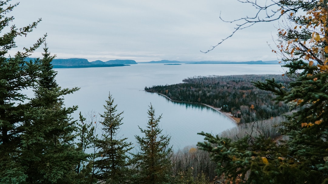 Tropical and subtropical coniferous forests photo spot Pays Plat Canada