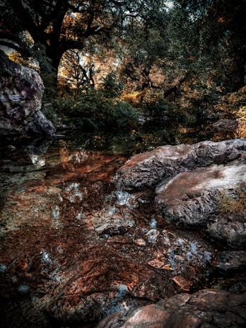 A calm forest landscape at dusk with gentle streams and rustling leaves.