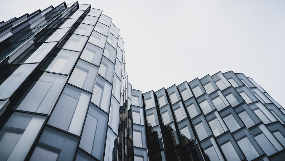 low angle photography of black and gray building window panels