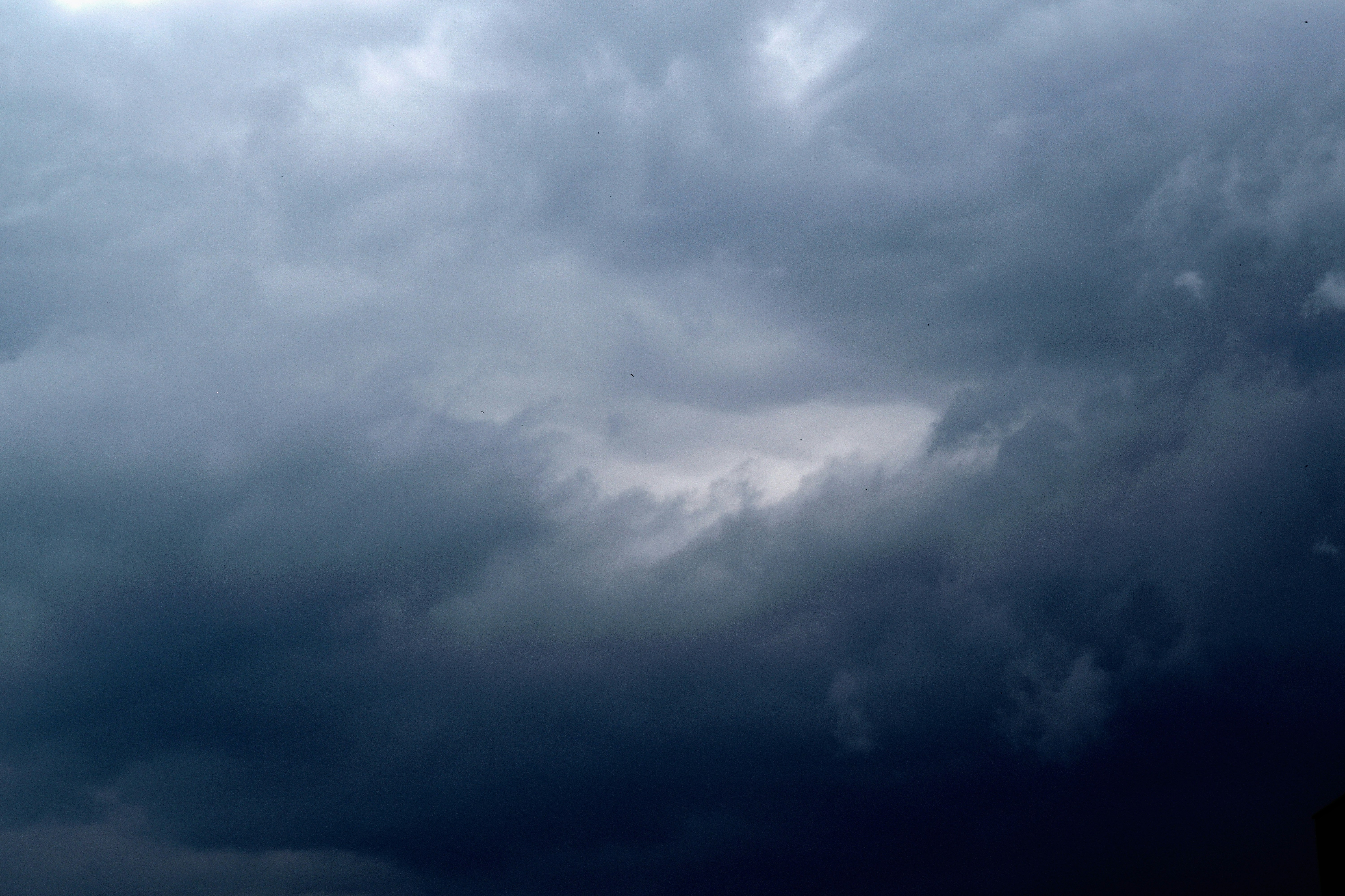 Photo by glaucopater