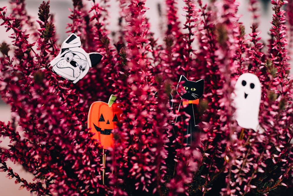 maroon flowers with Halloween decors