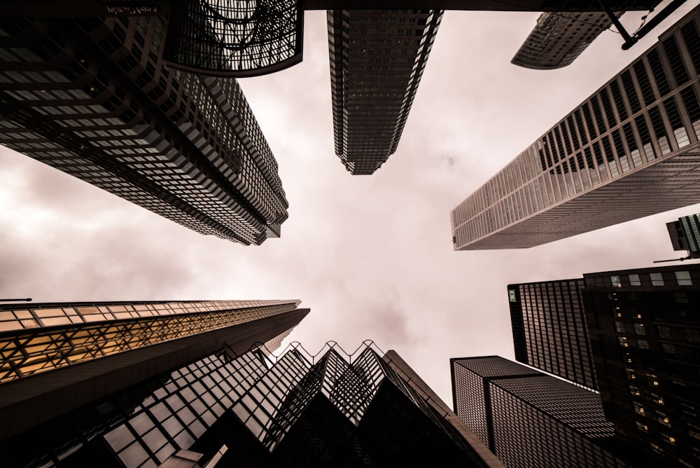 low angle photography of high rise building