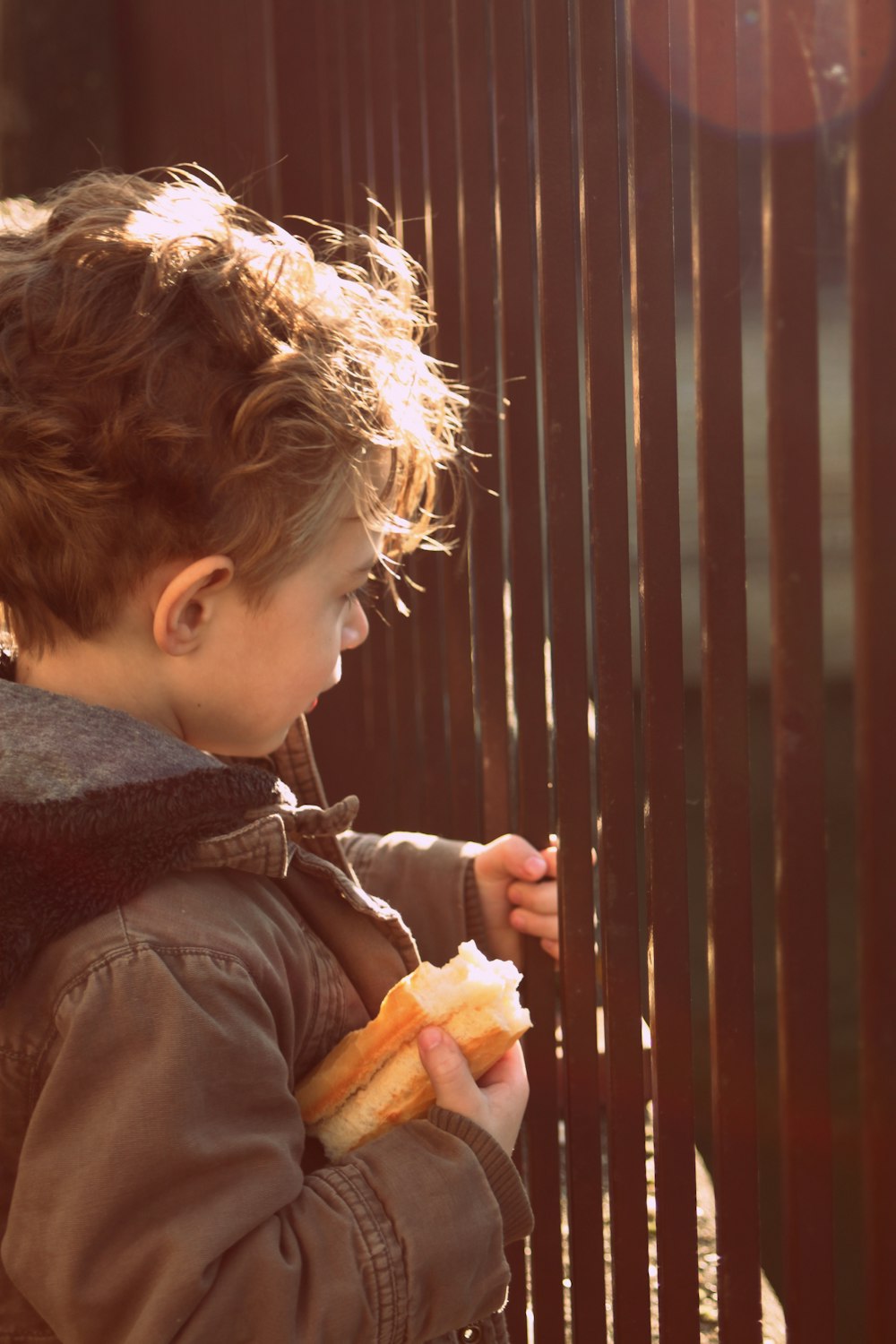 shallow focus photo of boy holding sandwich