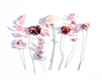 pink-petaled flowers