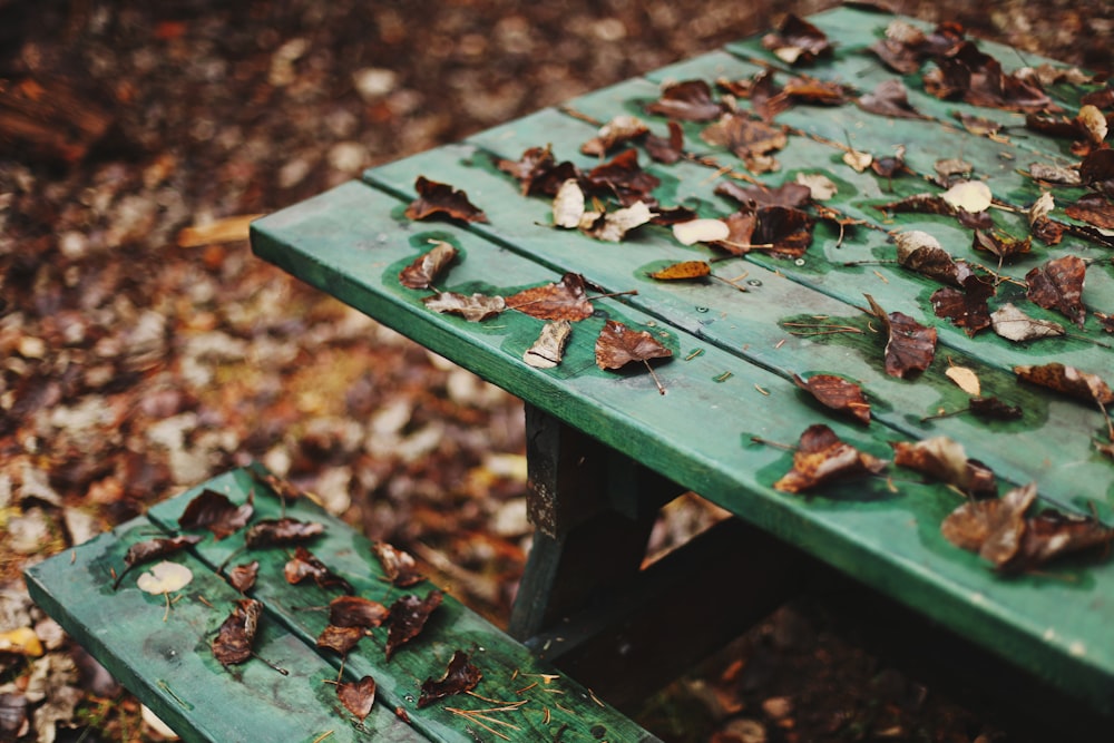 brown withered leaves on green wooden picnic table