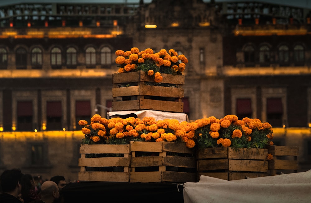 yellow petaled flowers on brown wooden crates