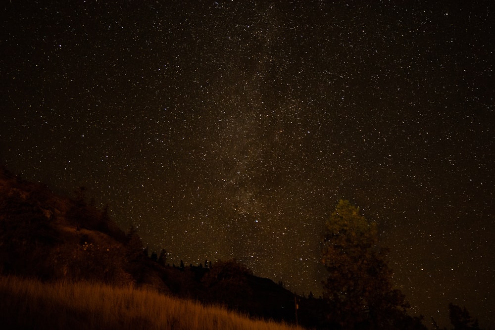 starry night sky