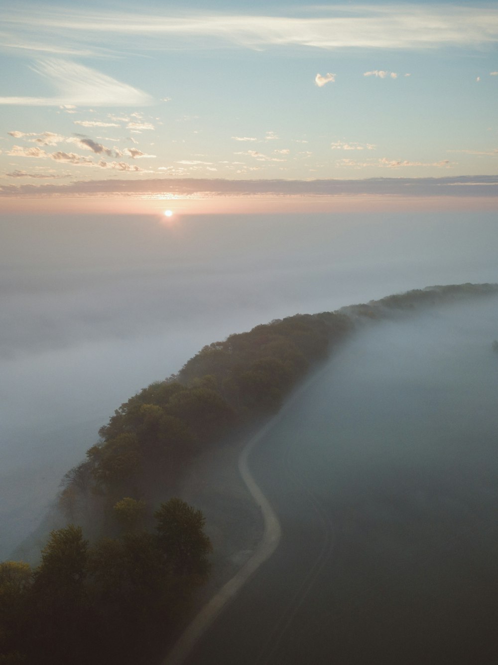fotografia aerea della strada accanto agli alberi coperta di nebbia durante il giorno