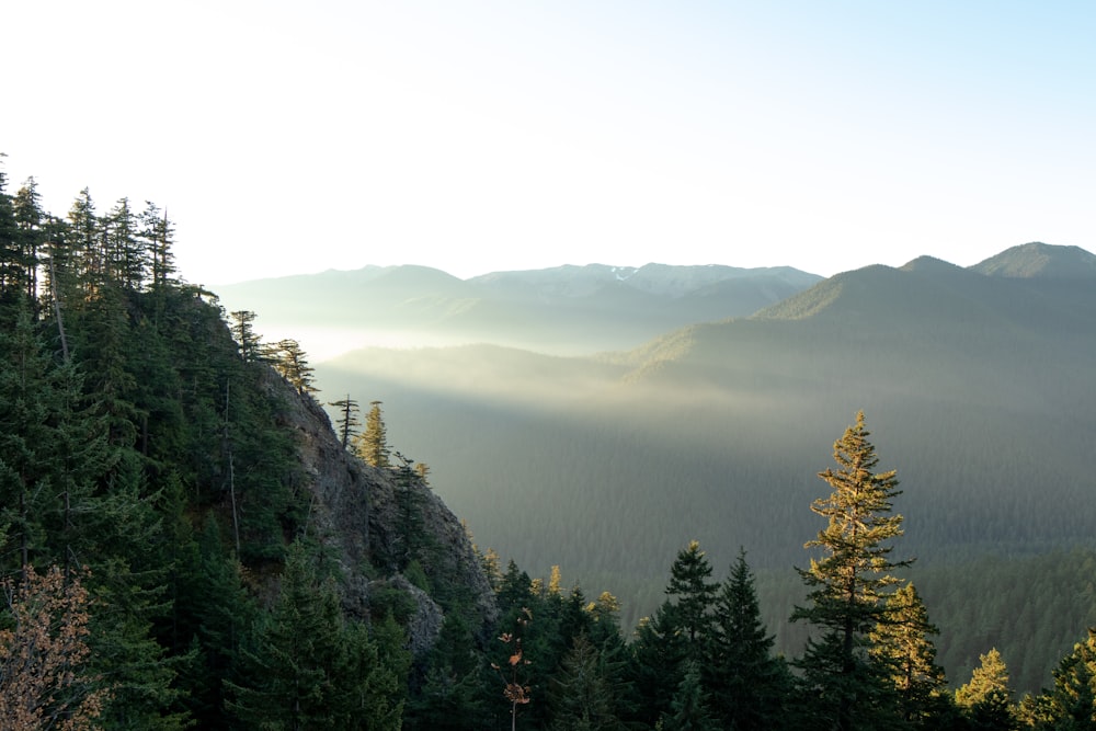 自然写真の木々のある山