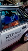 A white car parked on a street has a large sign on the side that reads 'KEEP AWAY POLICE DOG'. Inside the car, there is a person wearing a mask resembling the iconic Ghostface character from the Scream movies.
