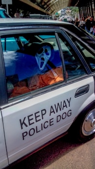 A white car parked on a street has a large sign on the side that reads 'KEEP AWAY POLICE DOG'. Inside the car, there is a person wearing a mask resembling the iconic Ghostface character from the Scream movies.