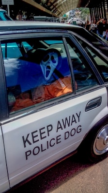 A white car parked on a street has a large sign on the side that reads 'KEEP AWAY POLICE DOG'. Inside the car, there is a person wearing a mask resembling the iconic Ghostface character from the Scream movies.