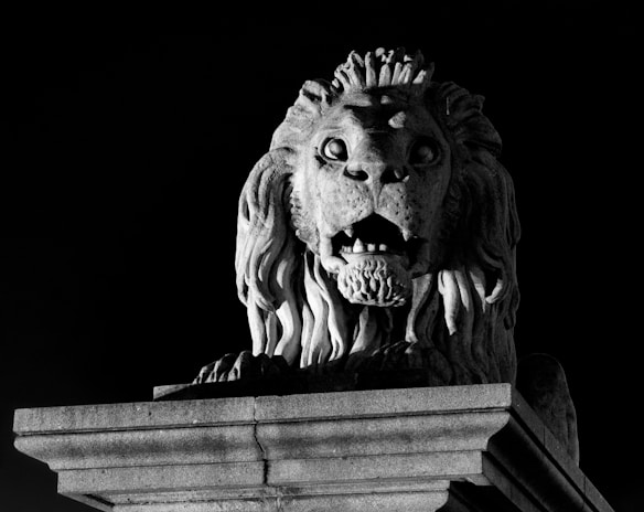 Black and grey tattoo of a fierce lion’s face with intricate details and smooth gradients.