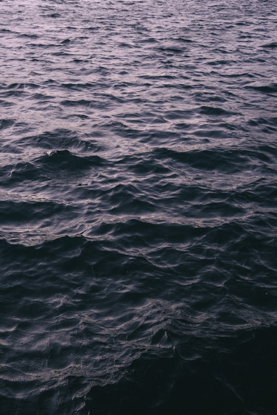 calm sea during daytime in Andros Greece