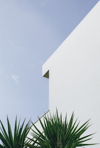 architecte agrandissement maison