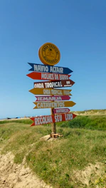 A rustic wooden signpost with three arrows pointing to different railroad packages under a clear blue sky.