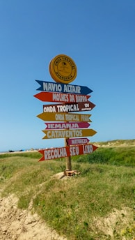 A clear signpost with multiple arrows pointing in different directions under a bright sky.