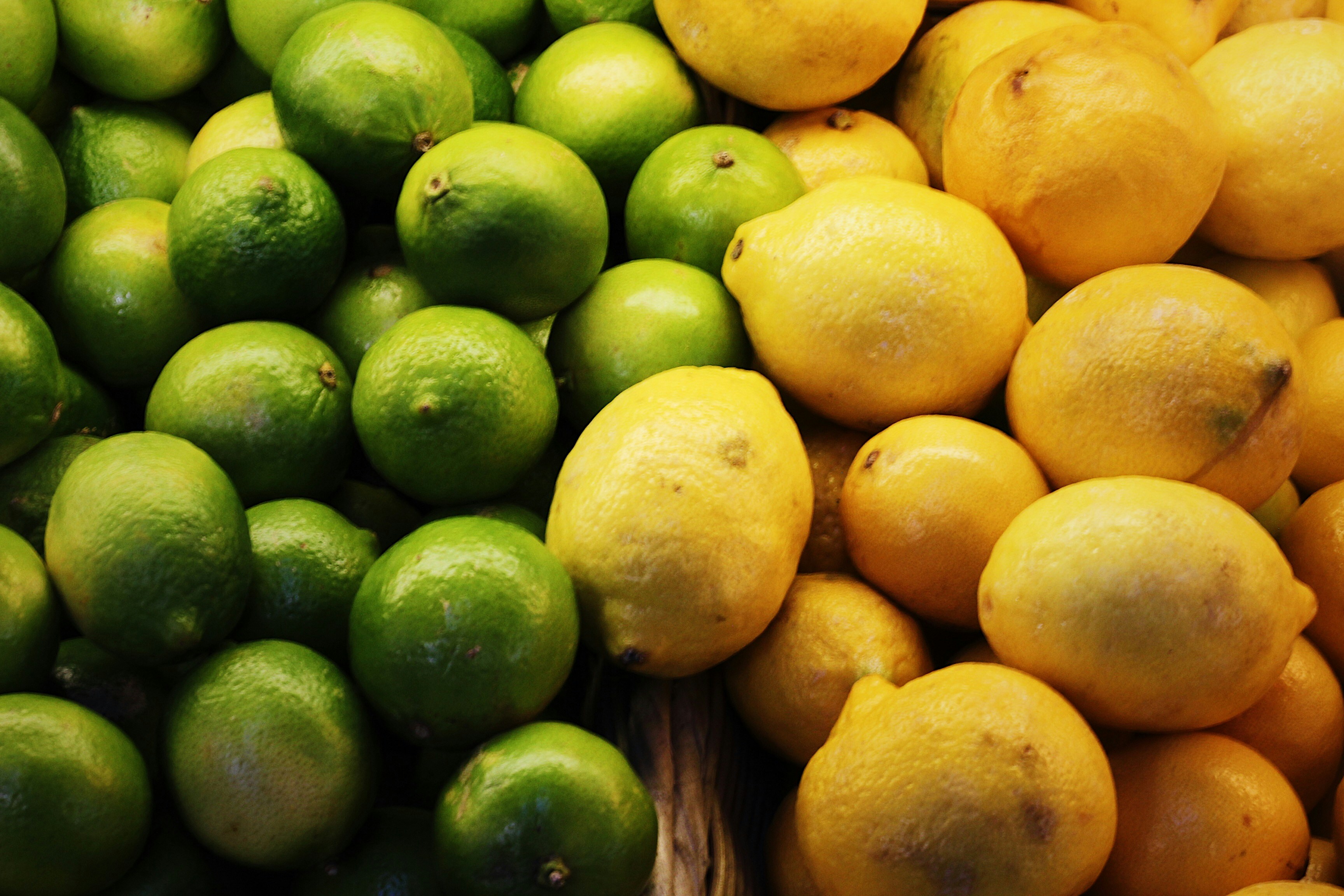 bunch of lemons and limeby Karly Jones